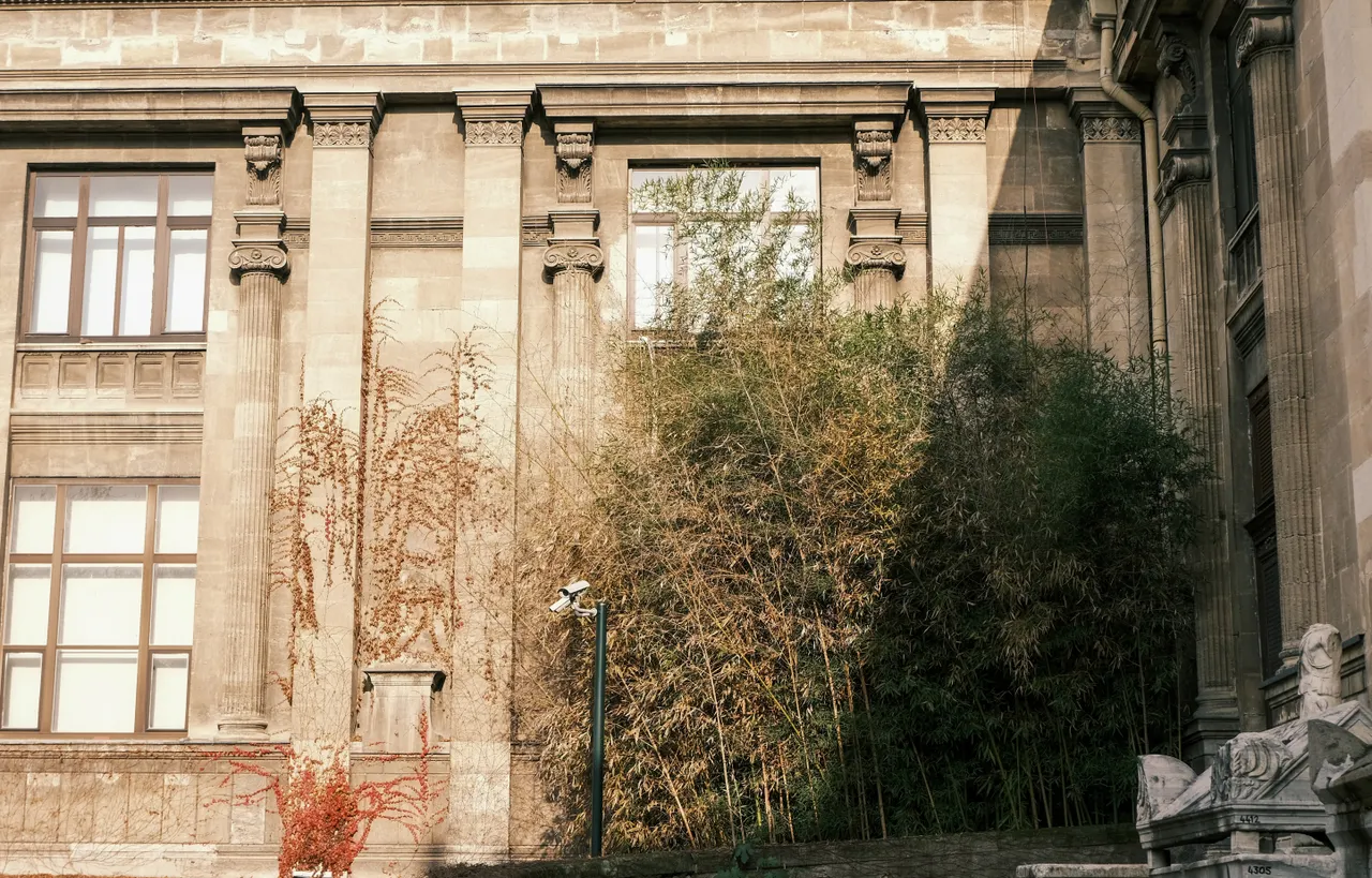 Rekrutacja na studia 2026/2027 w Szczecinie: dodatkowy nabór wciąż trwa na części uczelni