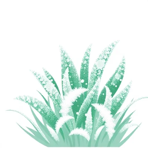 frost